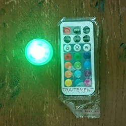 Boule LED étanche 13 couleurs avec télécommande "verte"