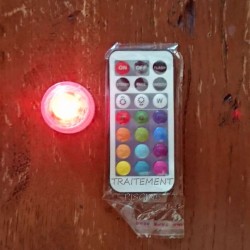 Boule LED étanche 13 couleurs avec télécommande "rouge"